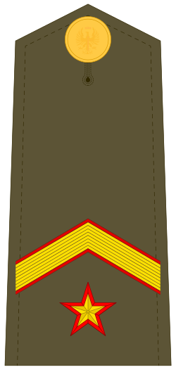 Divisa de Subteniente