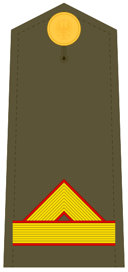 Divisa de Cabo Mayor