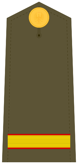 Divisa de Cabo Primero